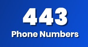 Get a 443 phone number today!