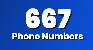 Get a 667 phone number today!
